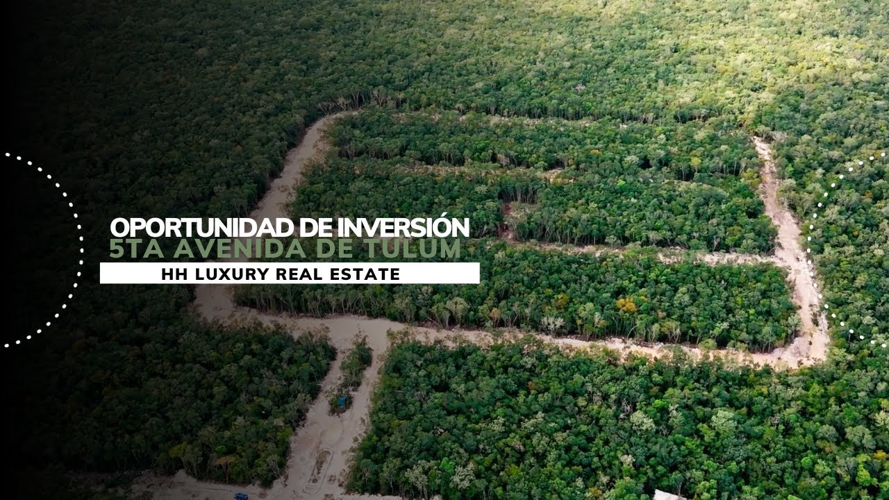 Oportunidad de inversión | Tierra, tierra, tierra