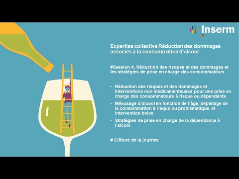 Expertise collective Réduction des dommages associés à la consommation d’alcool #Session 4