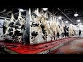 Amazing meat processing factory. The Power of Modern Technology !
