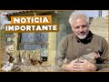 ANUNCIO IMPORTANTE PARA EL CANAL | #Cañizares