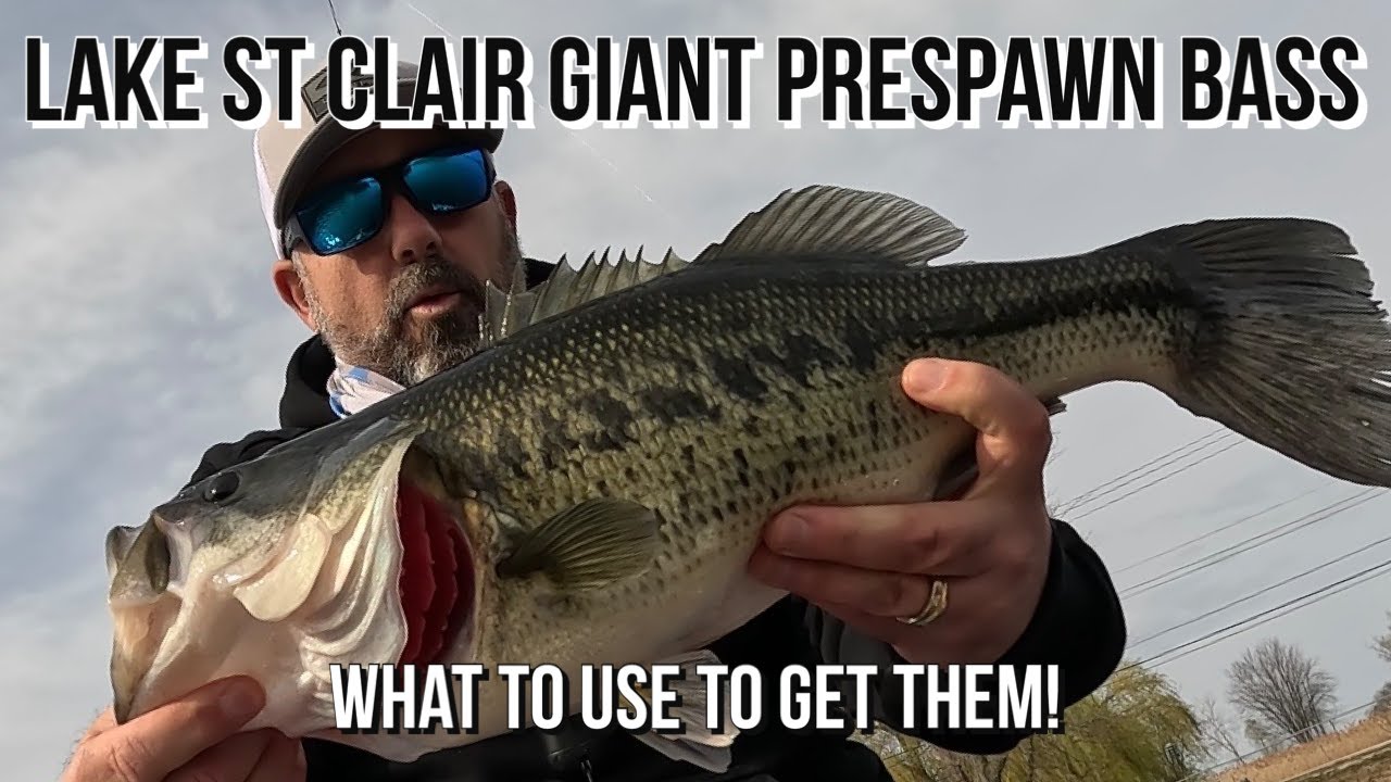 Lake St Clair Metropark Prespawn Bass Fishing | Spinnerbaits for bigger bass