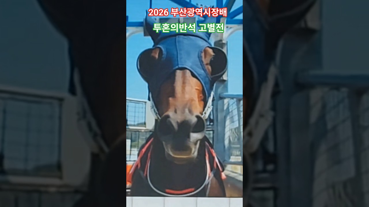 그동안 수고했다!#경마 #말 #달려라말 #shorts #대상경주