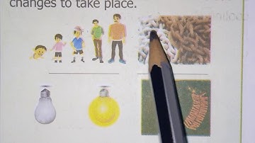 Class:6  Science .Term-2. Unit -3 Changes around us lesson.