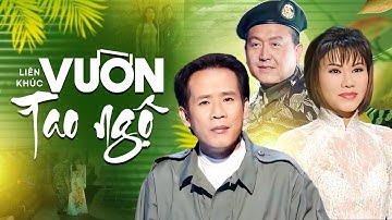 Liên Khúc Vườn Tao Ngộ - Bóng Nhỏ Đường Chiều - Bông Cỏ May - Tuấn Vũ, Sơn Tuyền, Trung Chỉnh