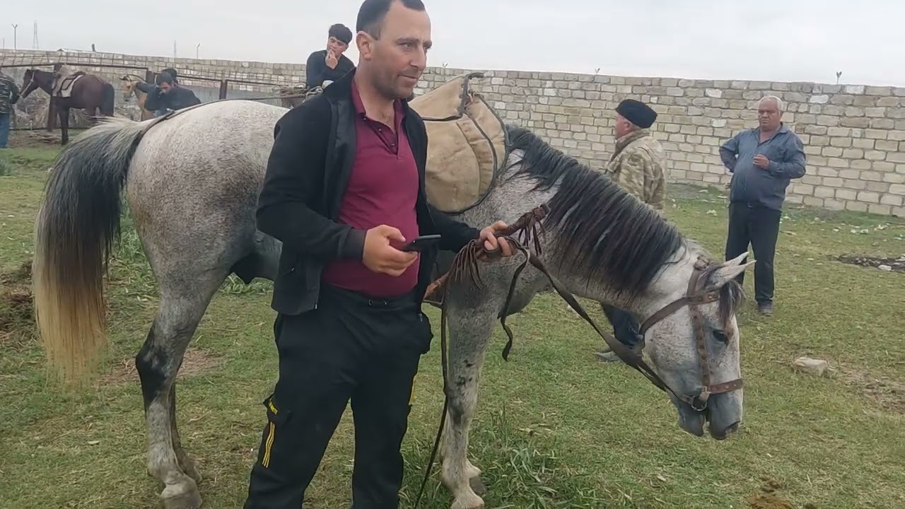 Bərdə at bazarl 10.05 2024.050.571.71.57