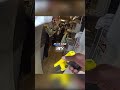 Guy Steals I-Pad from Target then Runs into Restaurant's Kitchen #shorts #bodycam #police