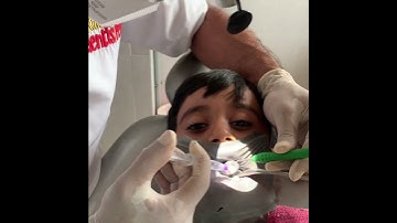 BEHAVIOUR MODIFICATION, making impossible tasks possible in your practice