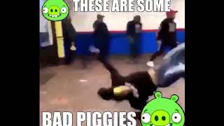 These Are Some Bad Piggies!