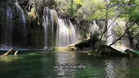 تلاوة الشيخ أحمد سعيد المهري
