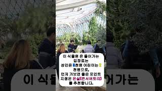 쇼츠 만들기 1