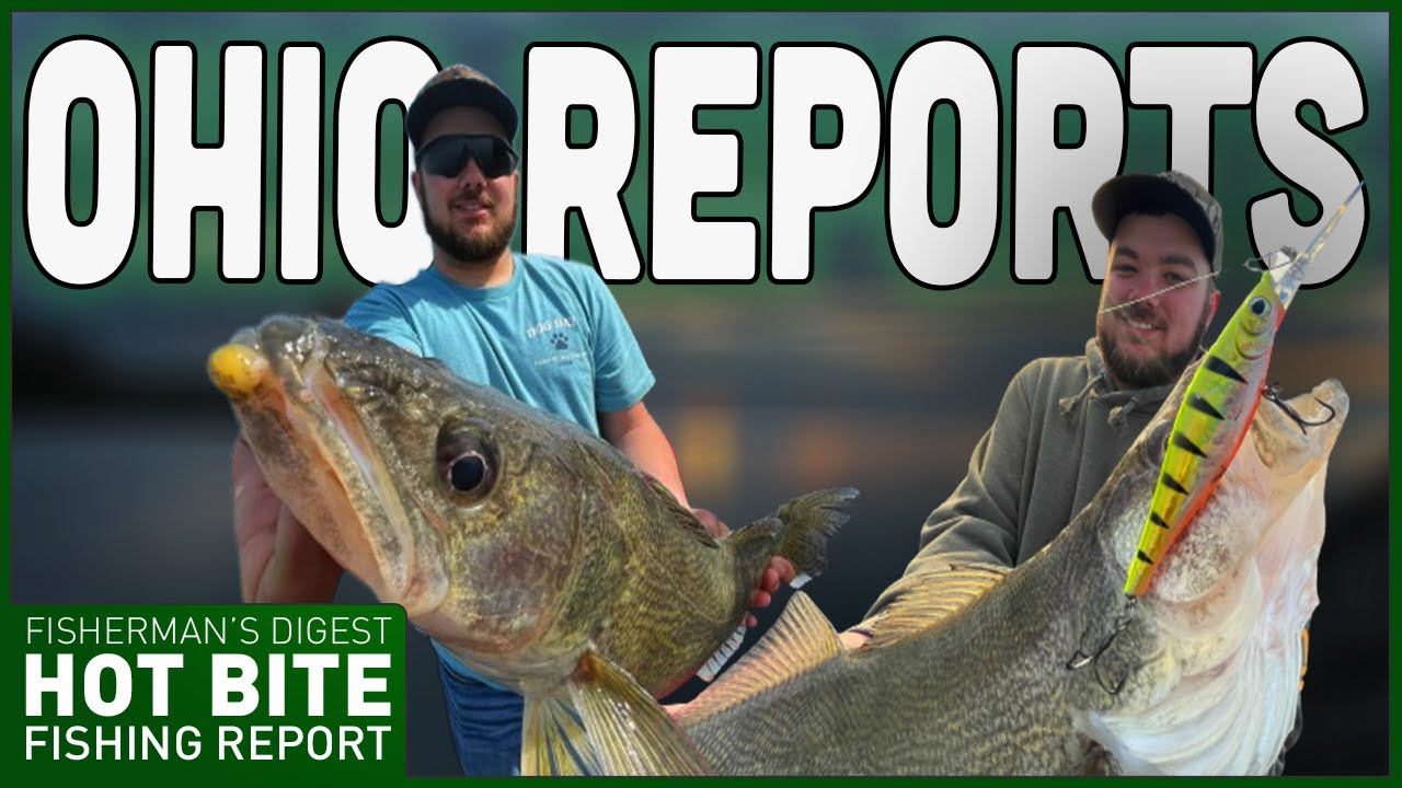 Lake Erie Walleye Fishing Reports 