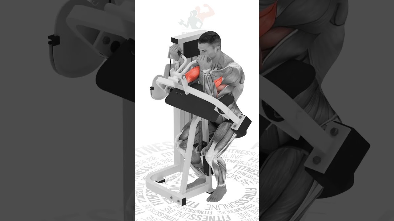 Fitness Online - Tenha o corpo dos seus sonhos