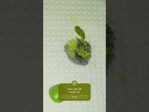 تابعو الفديو لتعرفوا ماهذا اللذي كان داخل البازلاء