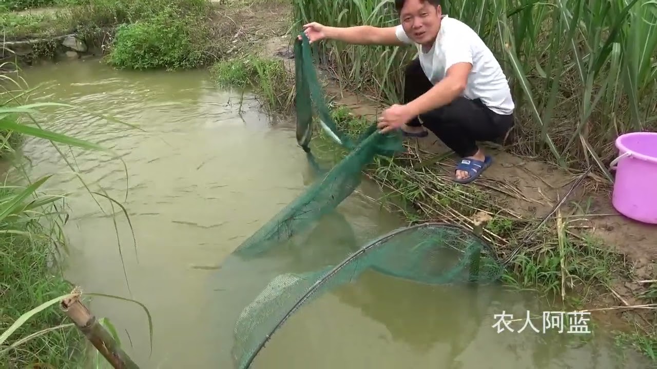 洪水暴发后水库泄洪，小伙利用特大抄网拦截排洪沟，鱼获太棒了
