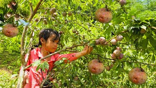 The poor girl went into the plum garden to pick ripe plums to sell and cook dinner at the house