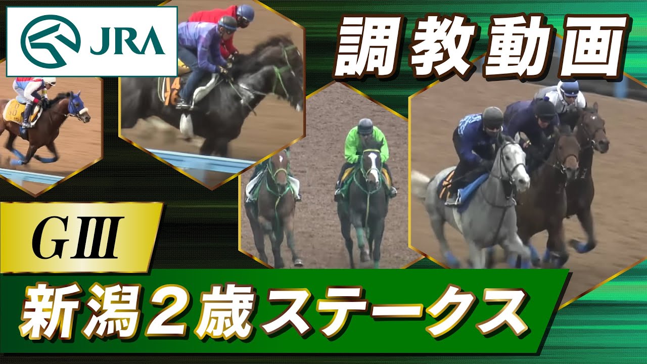 調教動画】2025年 新潟2歳ステークス｜JRA公式 - YouTube