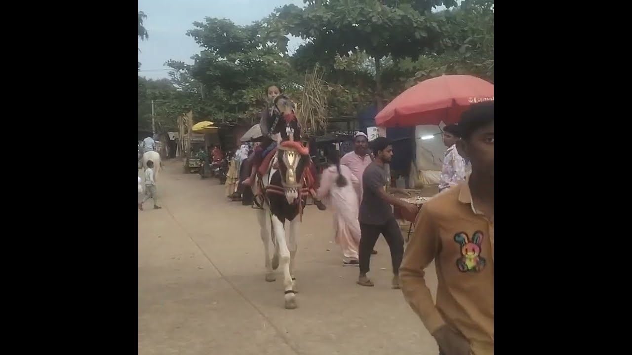 Aaj Hulgur gaye the ham