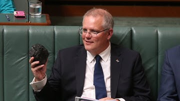 Morrison needs to ‘show leadership’ on net zero commitment