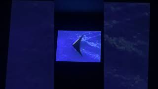 Left Coast Digital 2009