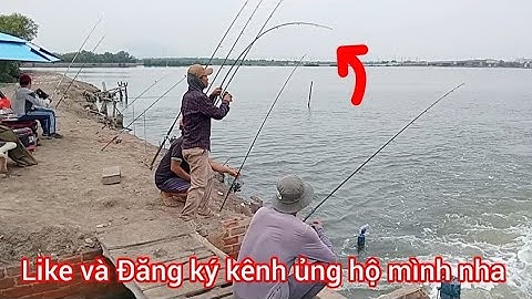 Trở lại Đùng Mỹ Xuân (Câu Đêm) với cần thủ Nữ/Câu cá Tráp, Hanh cuối cùng/ Câu Đùng Mỹ Xuân