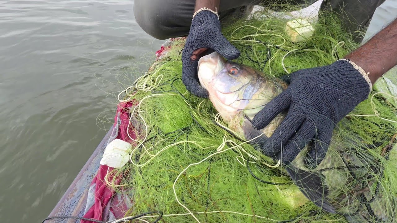 🐠అనుకున్న దానికంటే ఎక్కువగానే చేపలు పడ్డాయి Village natural fishing video 