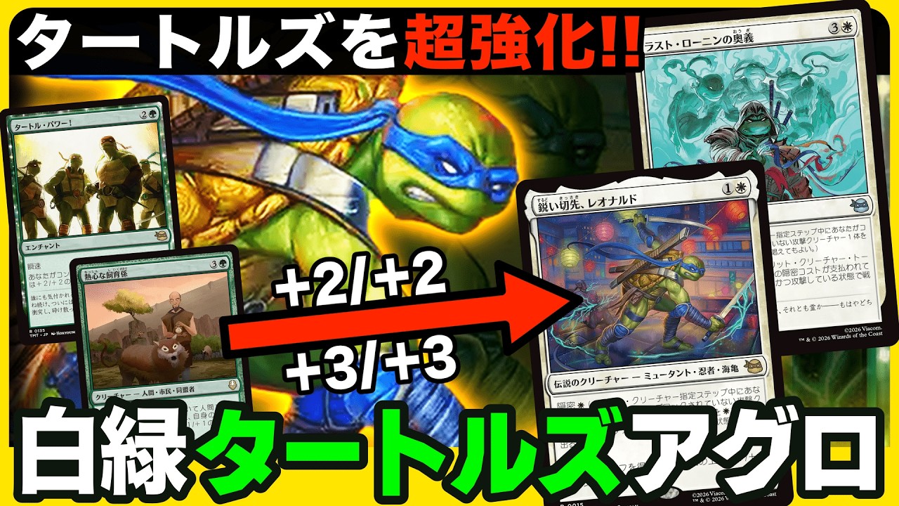 【MTGアリーナ】全体強化11枚❗️隠密からのタートル・パワーでビートダウン❗️セレズニアタートルズ(白緑)【ミュータント タートルズ/TMNT】