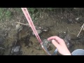 【狩猟】毒蛇ヤマカガシ塩焼き