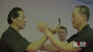 Wing Chun Chi Sao Finesse Samuel Kwok
