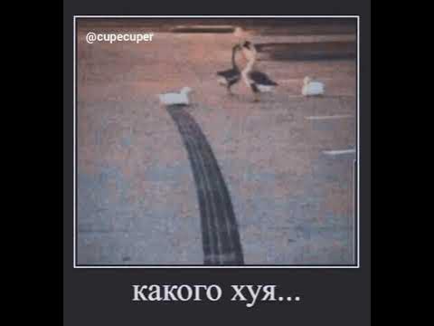 Какого хуя… - YouTube