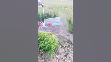 Forage harvesting process sharing - good tools and machinery make the work more efficient