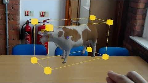 Holovet: Augmented Reality Vet (Demo)