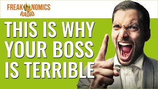 Why Are There So Many Bad Bosses? | Freakonomics Radio | Episode 495