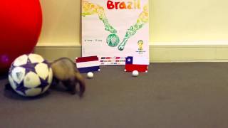 Voorspelling Nederland Chili WK 2014 door Fretsj de Voorspelfret