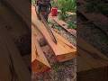 Siguiendo la línea😍#woodwork #asmrvideo #chainsaw