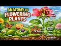 Anatomy of flowering plants🌿NOTES . #neet2026 #neetbiology