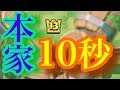 【クラロワ】10秒デッキの生みの親が襲来⁉︎