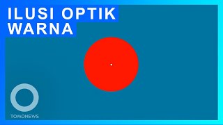 Ilusi Optik Yang Memunculkan Warna Cyan Sesungguhnya - Tomonews