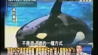 【關鍵時刻2300】頂高9公尺再高速衝撞 遭電鑽拔牙的殺人鯨復仇計1010725