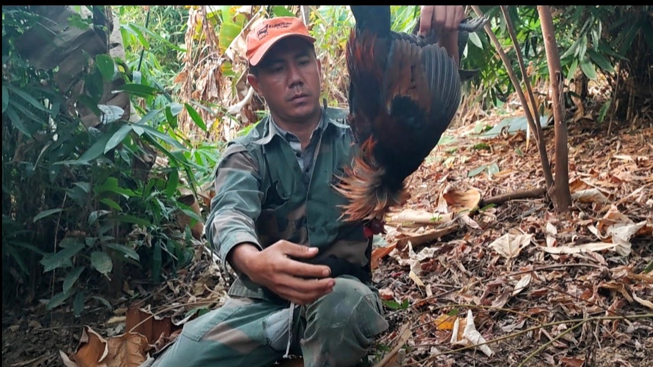 hunting.yos hav zoov tua npua teb noj tsawb thiab tua qaib qus hnub1. 17/2/2026