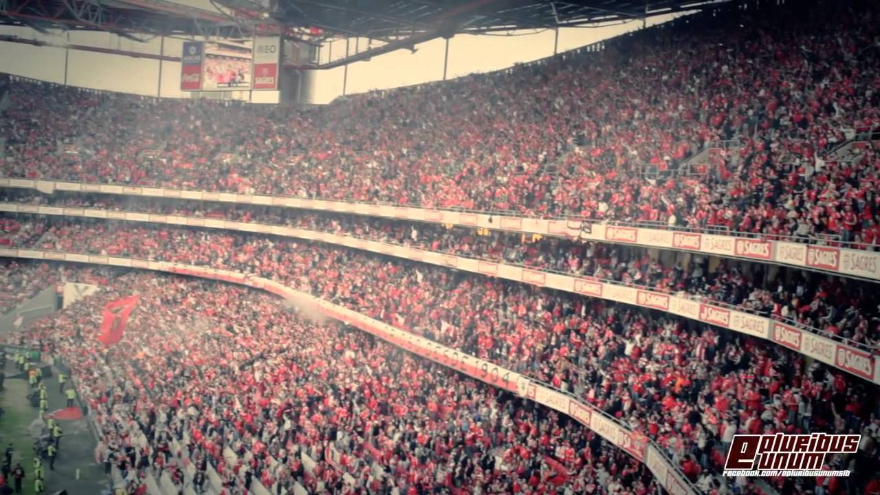 Impressionante!!! Benfica - Olhanense (2-0) 2013/2014 - Golos na Bancada!