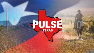 Famous FULL MEASURE: June 2, 2019 - Texas Pulse Profile
