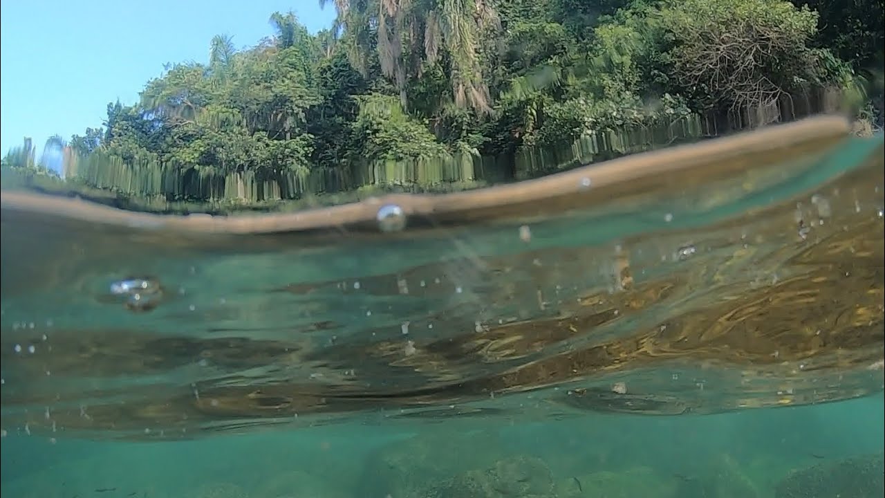 |EP 3| Do fundo do mar ao asfalto, um até logo SP
