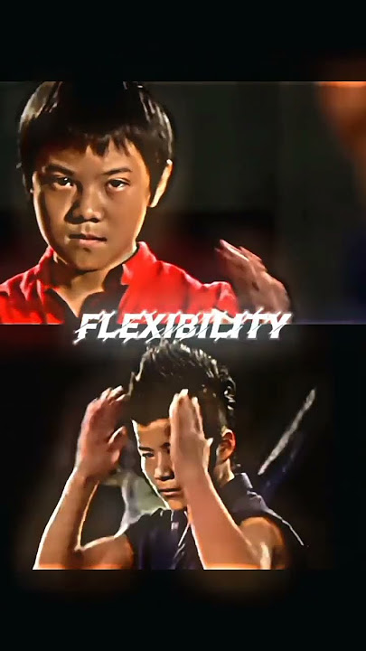 Karate Kid 2010 Cheng