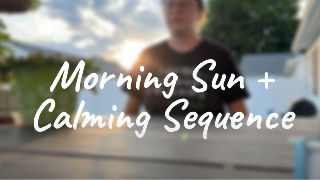 3-Minute Daily Rhythm to Calm your Nervous System ☀️ Calm Mama Morning Sequence