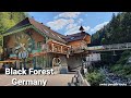 #blackforest #germany #titisee #triberg  Must visit attractions in Black Forest, Germany