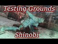 Shinobi Testing Grounds opinion