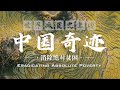 Eradicating absolute poverty: The China miracle in the history of world poverty alleviation