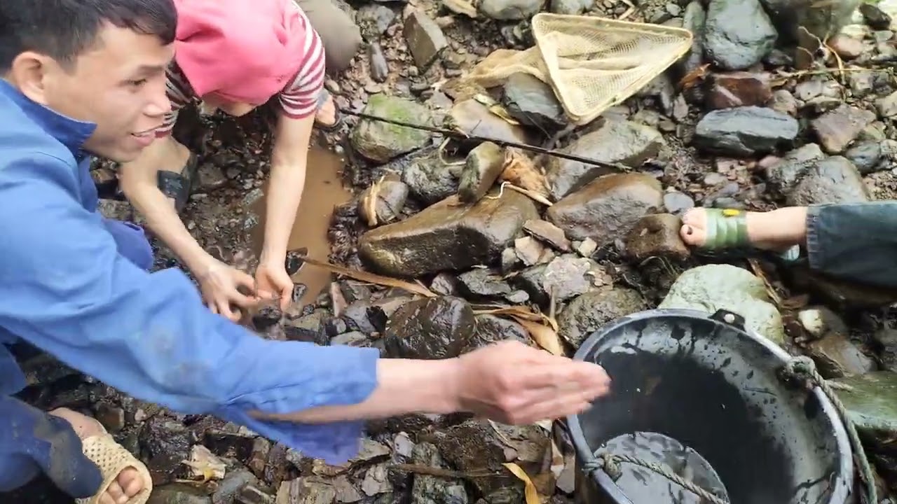 Bắt cá suối ngày Tết 