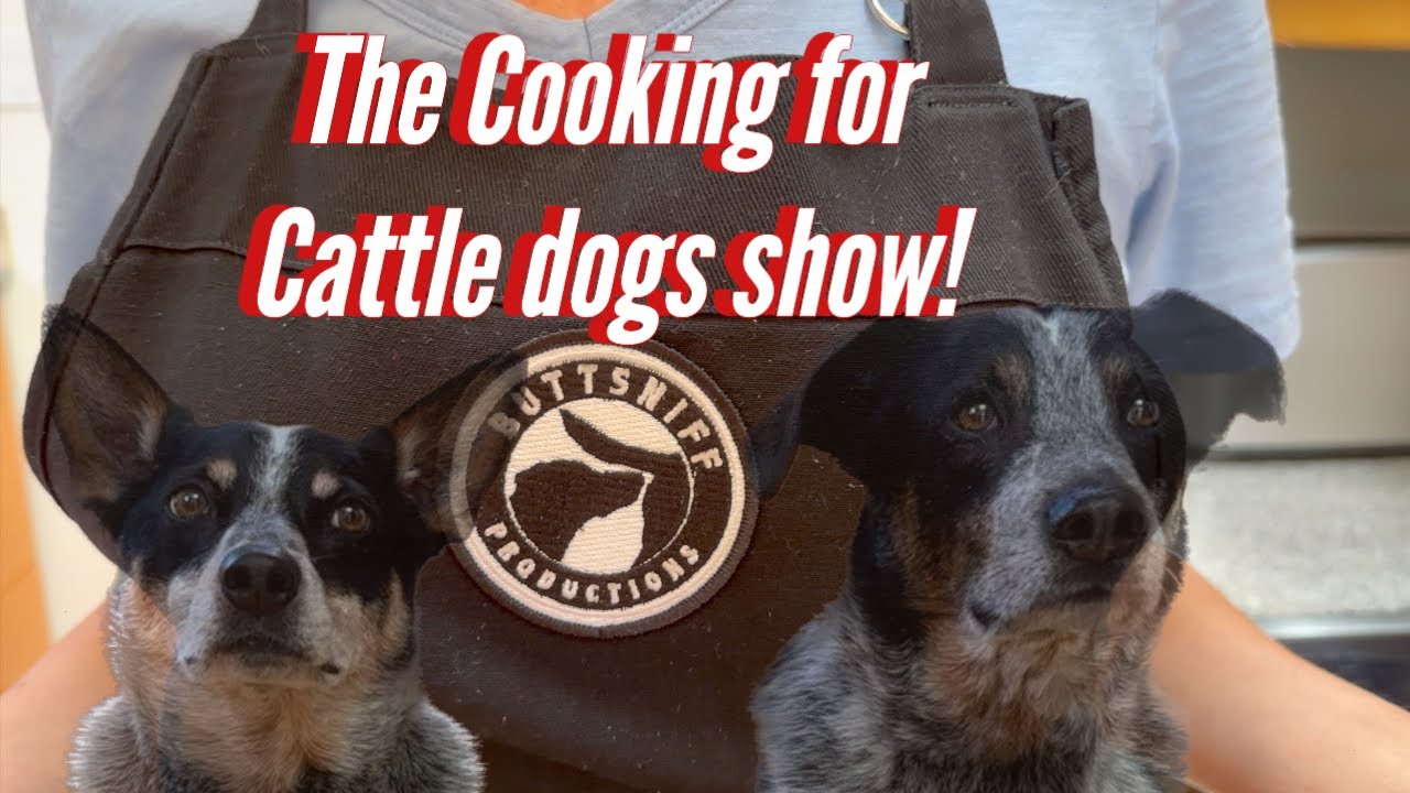 Cooking for cattle dogs Chez Buttsniff YouTube