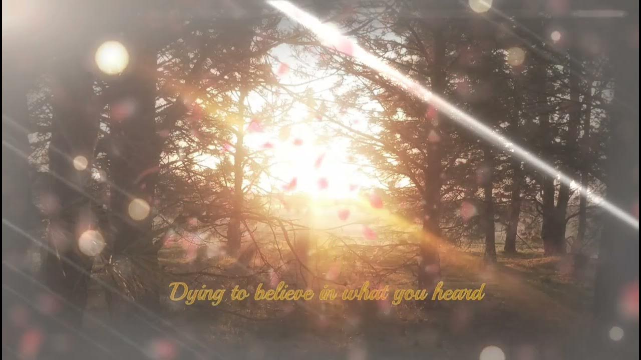 Coming back to life (lyrics) YouTube Coming back to life (lyrics) YouTube